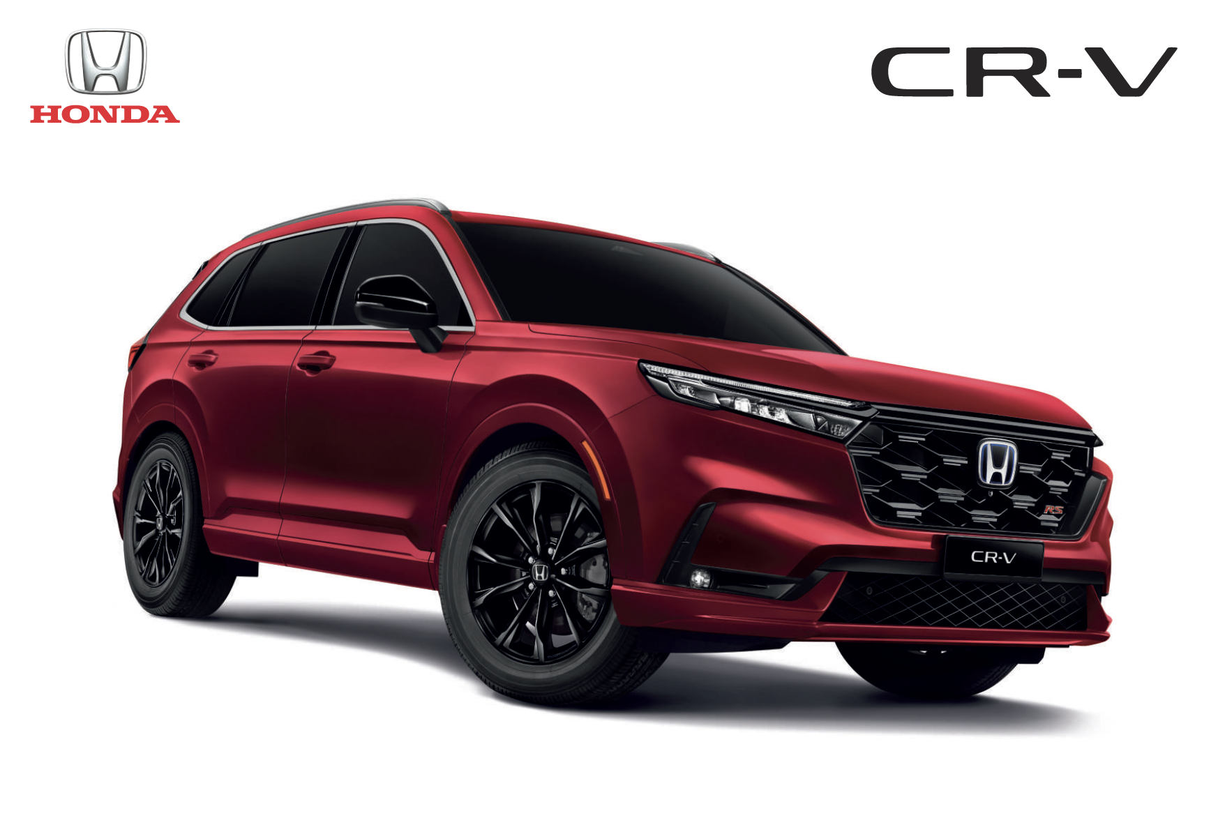 screenshot 2024 10 06 080335